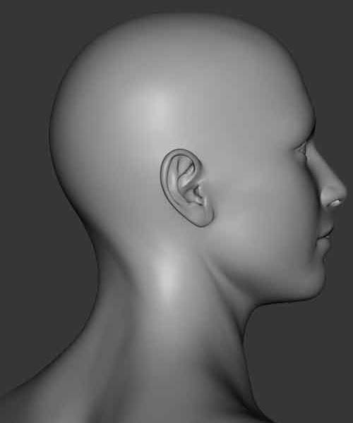 Prolotherapy research topics image showing the head and neck