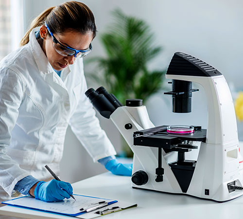 Prolotherapy researcher making notes while observing adipose derived mesenchymal stem-cells under a microscope.